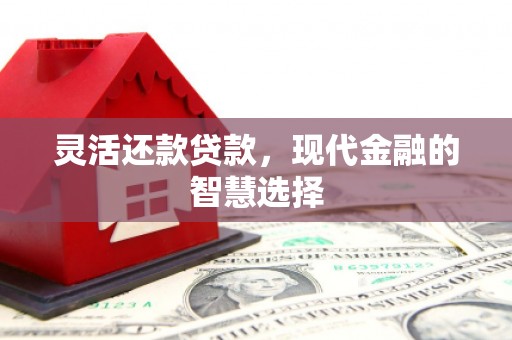 合山灵活还款贷款，现代金融的智慧选择