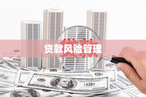 合山贷款风险管理