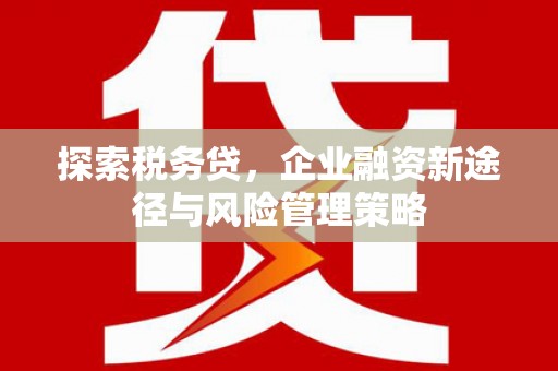 合山探索税务贷，企业融资新途径与风险管理策略