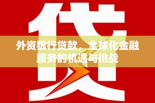 合山外资银行贷款，全球化金融服务的机遇与挑战