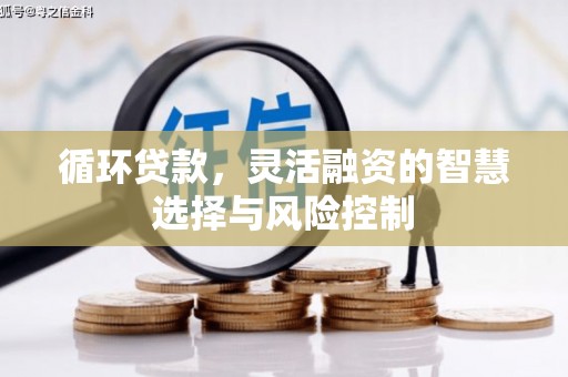 合山循环贷款，灵活融资的智慧选择与风险控制
