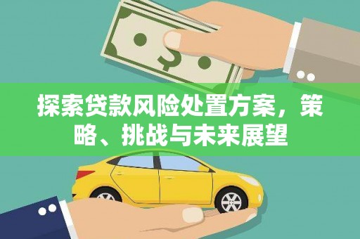 合山探索贷款风险处置方案，策略、挑战与未来展望