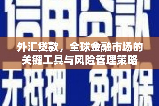合山外汇贷款，全球金融市场的关键工具与风险管理策略