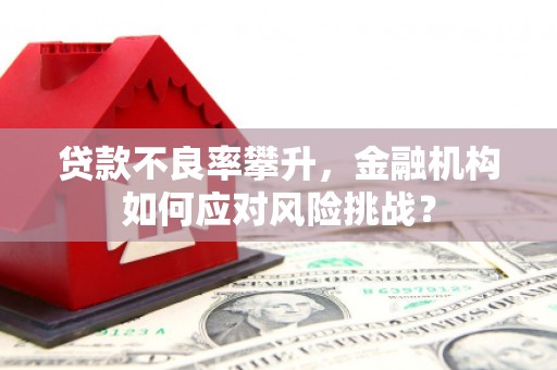 合山贷款不良率攀升，金融机构如何应对风险挑战？