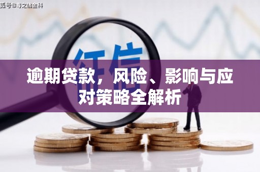 合山逾期贷款，风险、影响与应对策略全解析