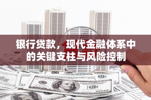 合山银行贷款，现代金融体系中的关键支柱与风险控制