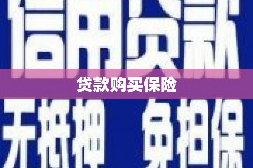 合山贷款购买保险