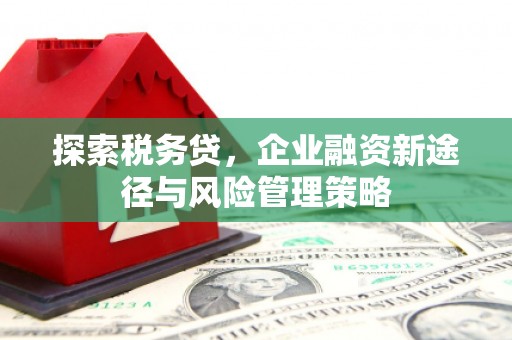 合山探索税务贷，企业融资新途径与风险管理策略