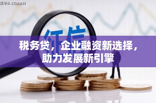 合山税务贷，企业融资新选择，助力发展新引擎