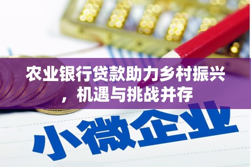 合山农业银行贷款助力乡村振兴，机遇与挑战并存