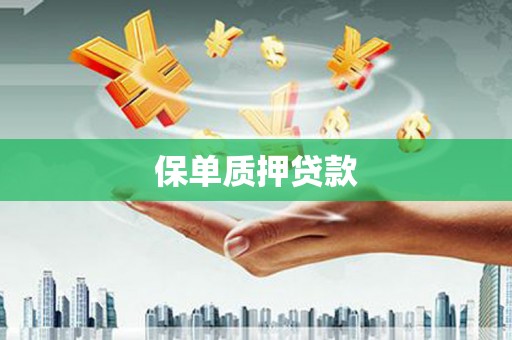 合山保单质押贷款
