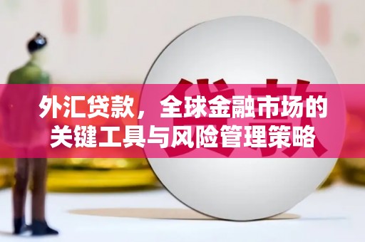 合山外汇贷款，全球金融市场的关键工具与风险管理策略