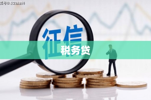 合山税务贷