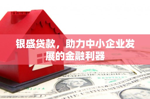 合山银盛贷款，助力中小企业发展的金融利器