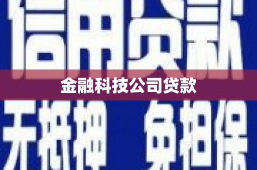 合山金融科技公司贷款