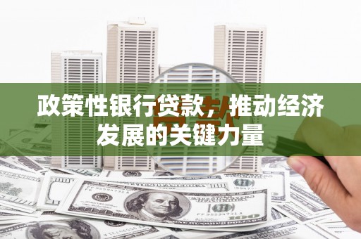 合山政策性银行贷款，推动经济发展的关键力量