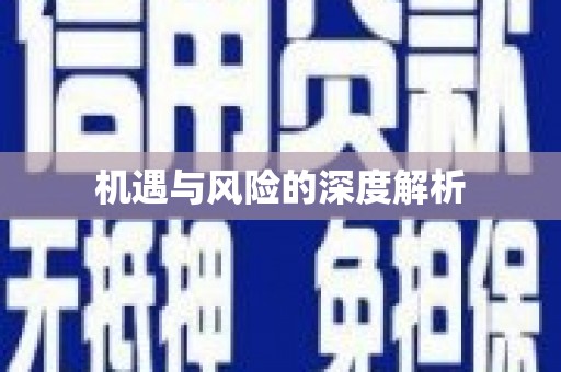 合山机遇与风险的深度解析