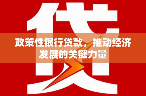 合山政策性银行贷款，推动经济发展的关键力量