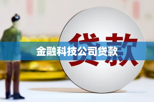 合山金融科技公司贷款