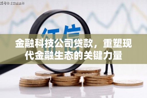 合山金融科技公司贷款，重塑现代金融生态的关键力量