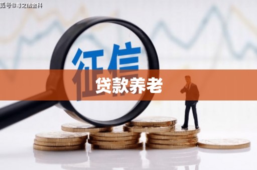 合山贷款养老