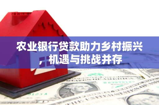 合山农业银行贷款助力乡村振兴，机遇与挑战并存
