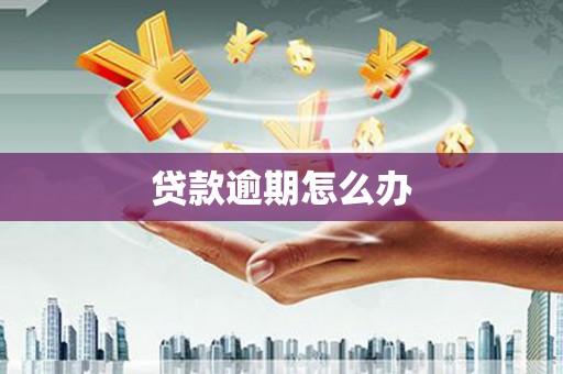 合山贷款逾期怎么办