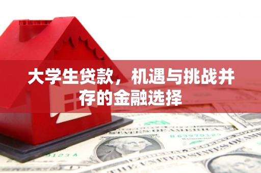 合山大学生贷款，机遇与挑战并存的金融选择