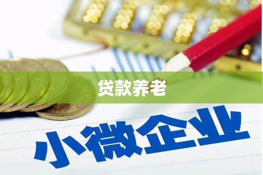 合山贷款养老