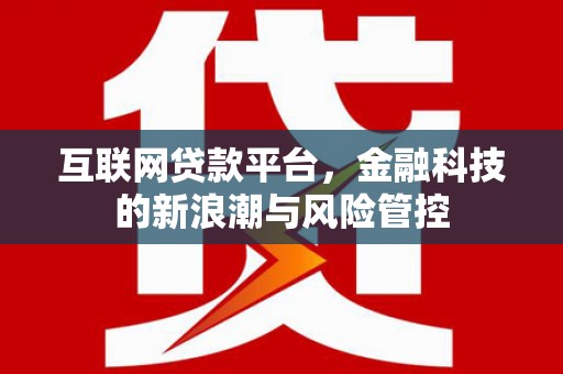 合山互联网贷款平台，金融科技的新浪潮与风险管控