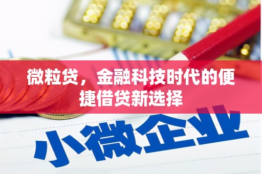 合山微粒贷，金融科技时代的便捷借贷新选择