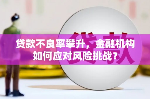 合山贷款不良率攀升，金融机构如何应对风险挑战？