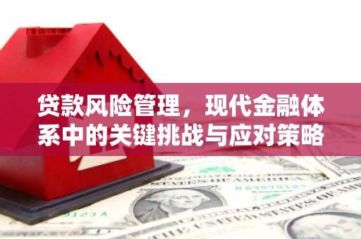 合山贷款风险管理，现代金融体系中的关键挑战与应对策略