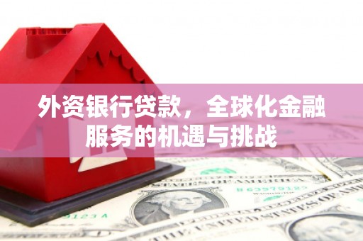合山外资银行贷款，全球化金融服务的机遇与挑战