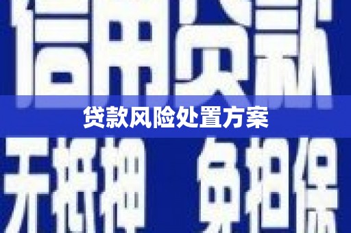 合山贷款风险处置方案
