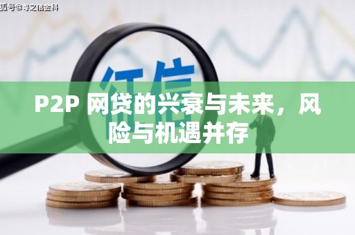 合山P2P 网贷的兴衰与未来，风险与机遇并存
