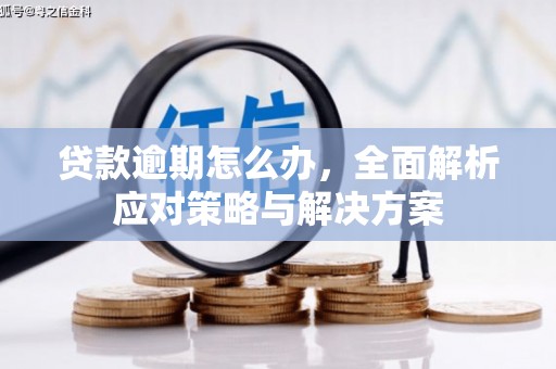 合山贷款逾期怎么办，全面解析应对策略与解决方案