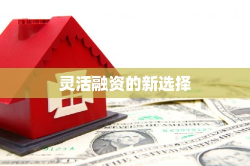 合山灵活融资的新选择