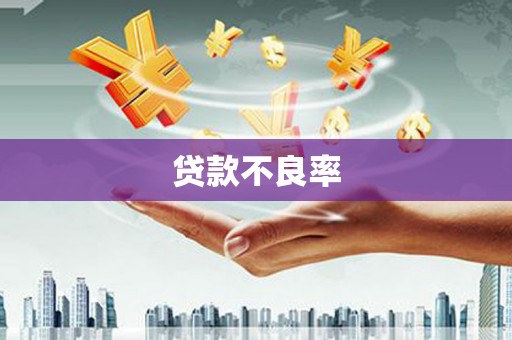合山贷款不良率