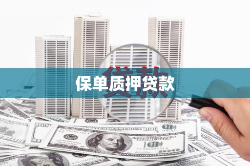 合山保单质押贷款