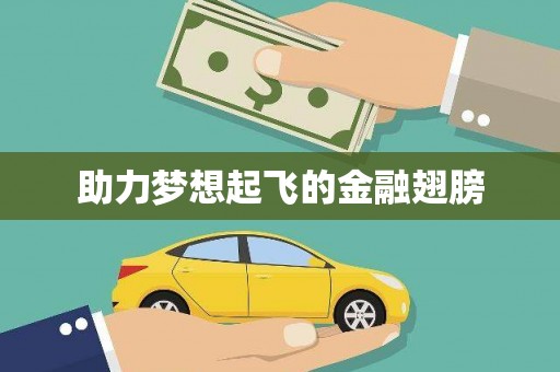 合山助力梦想起飞的金融翅膀
