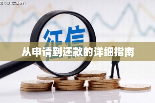 合山从申请到还款的详细指南
