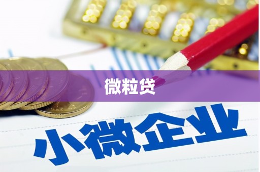 合山微粒贷