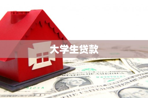 合山大学生贷款