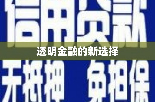 合山透明金融的新选择