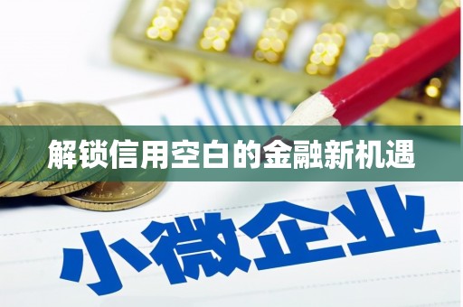 合山解锁信用空白的金融新机遇