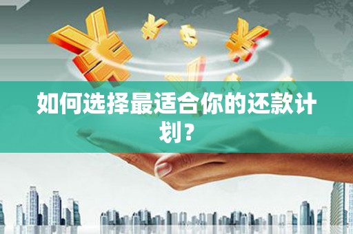 合山如何选择最适合你的还款计划？