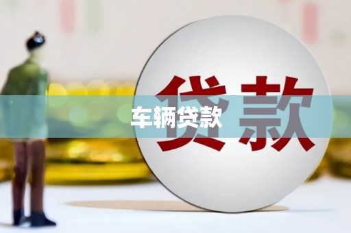 合山车辆贷款