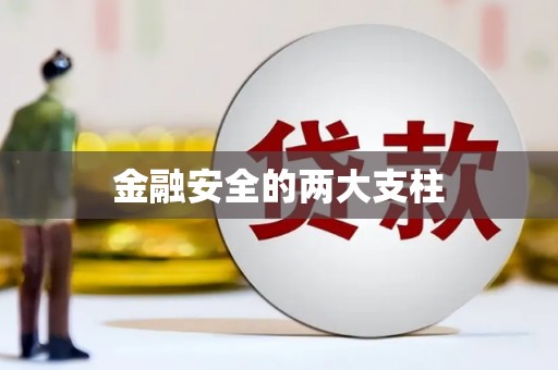 合山金融安全的两大支柱