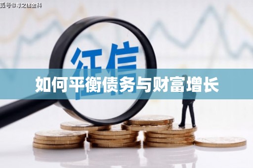 合山如何平衡债务与财富增长